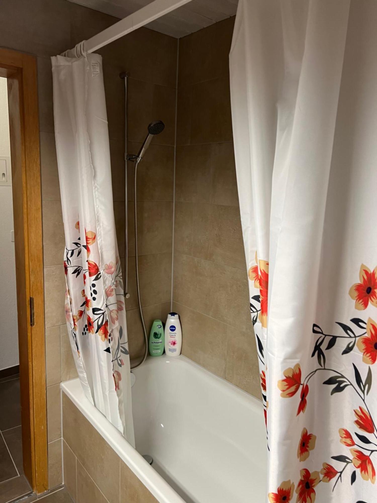 Apartament Rosy Ιντερλάκεν Εξωτερικό φωτογραφία