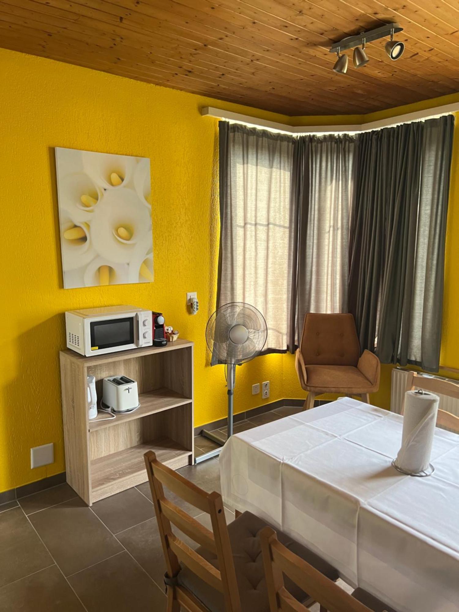 Apartament Rosy Ιντερλάκεν Εξωτερικό φωτογραφία